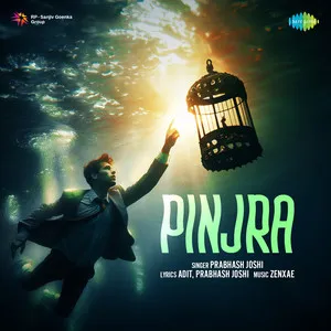  Pinjra Song Poster